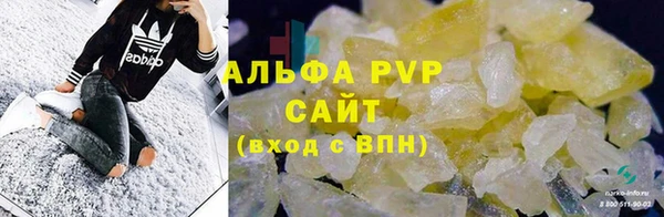 СК Белокуриха