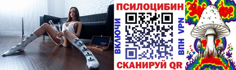 Псилоцибиновые грибы GOLDEN TEACHER  Конаково 